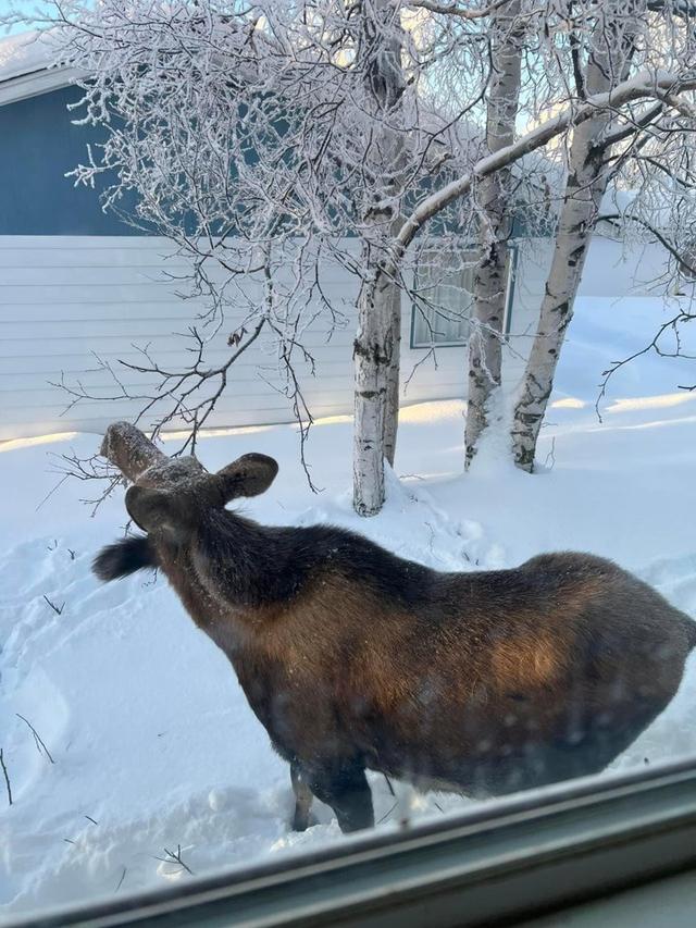 Photo from news post
