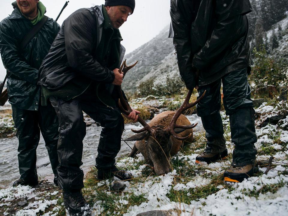 Jagd in Obersimmental-Saanen (Kanton Bern), Schweiz: Geografische Gegebenheiten, Bevölkerung, Jagdtechniken, Wildpopulationen, Saisonzeiten, Jagdverbände, Bestimmungen und Rituale