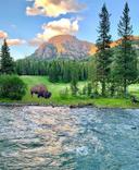 Yellowstone National Park, USA!!