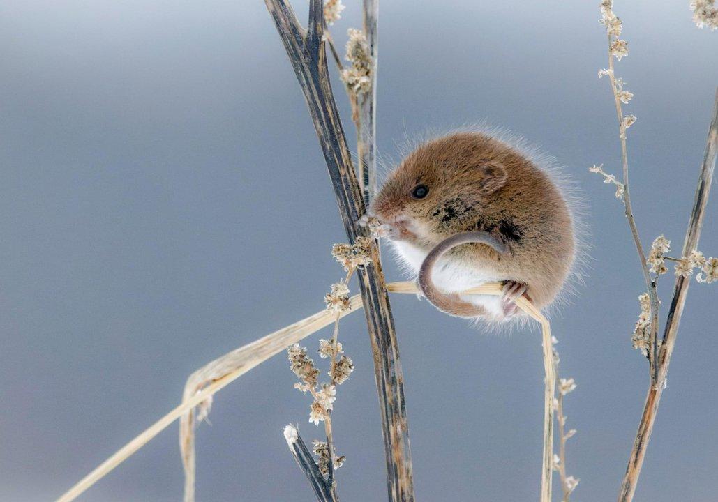 Photo from news post