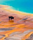 Grand Prismatic Spring in Yellowstone National Park, Wyoming