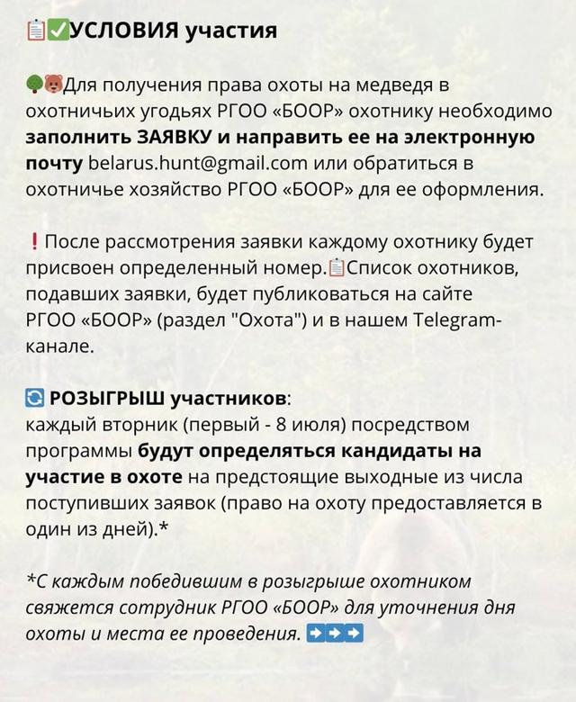 Организация охоты на МЕДВЕДЯ