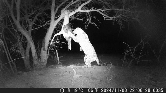 Photo from news post