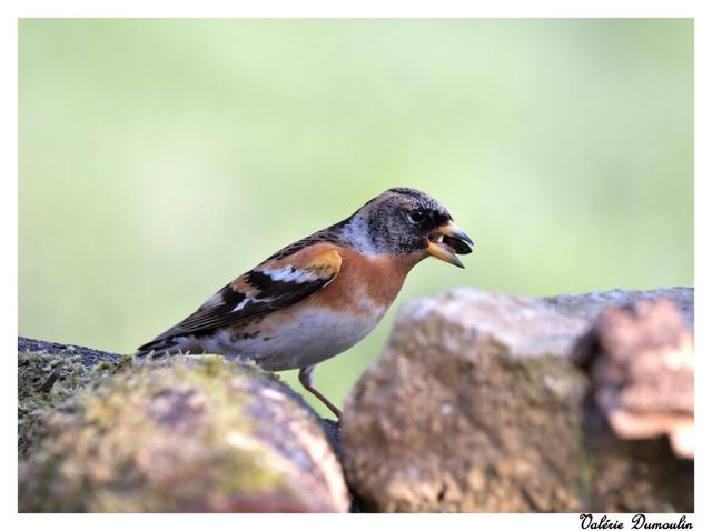 Photo from news post