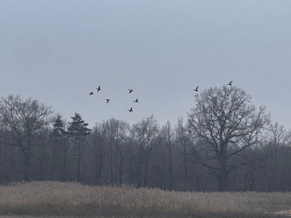 Photo from news post