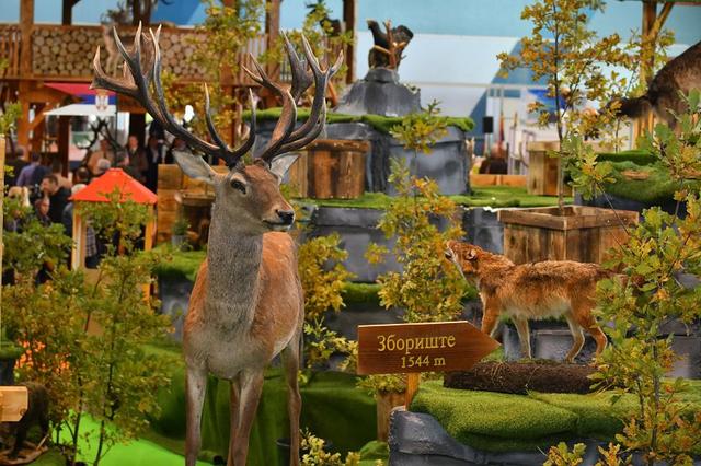International Fair of Hunting and Fishing 2025: Serbia, Novi Sad, 24.09.2025-28.09.2025