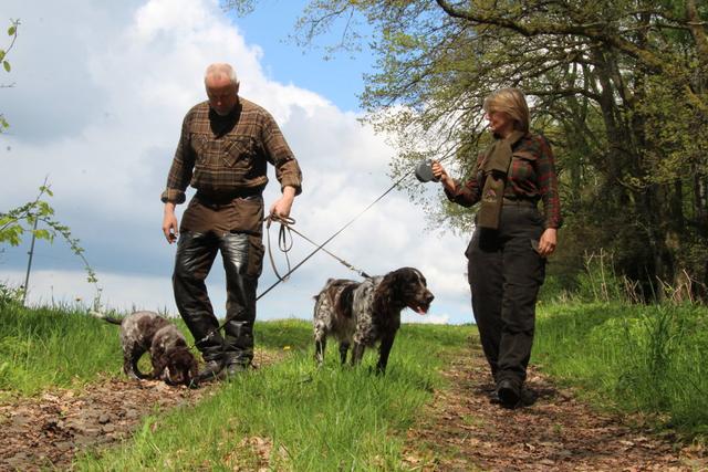 Jagd im SPESSART: Wildreichtum, Regionale Jagdbesonderheiten, <strong>Saisonale</strong> Jagdzeiten, Jagdorganisationen und Rechtliche Grundlagen