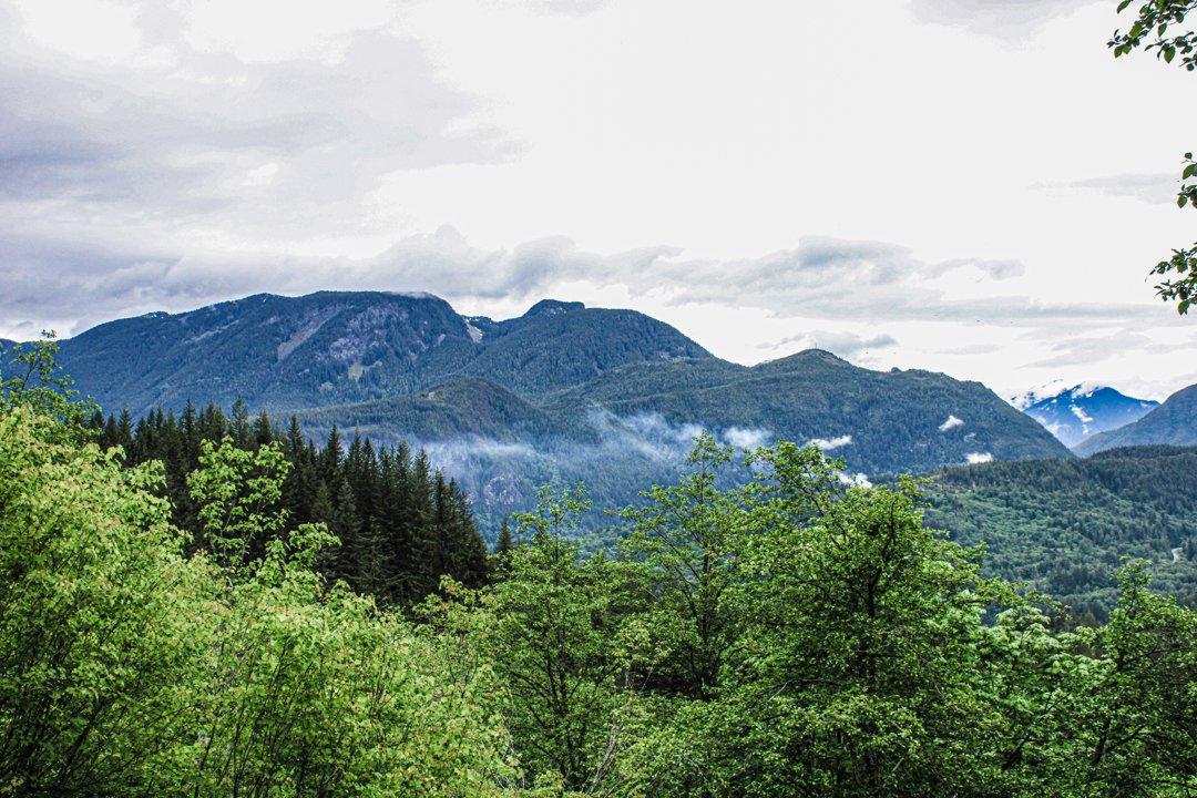 Jagd in Triesenberg, Liechtenstein: Landschaft, Wildbestände, Jagdzeiten, Gesetze, Gemeinschaften, Besonderheiten und Traditionen  