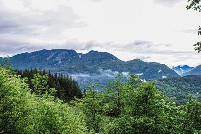 Jagd in Triesenberg, Liechtenstein: Landschaft, Wildbestände, Jagdzeiten, Gesetze, Gemeinschaften, Besonderheiten und Traditionen  