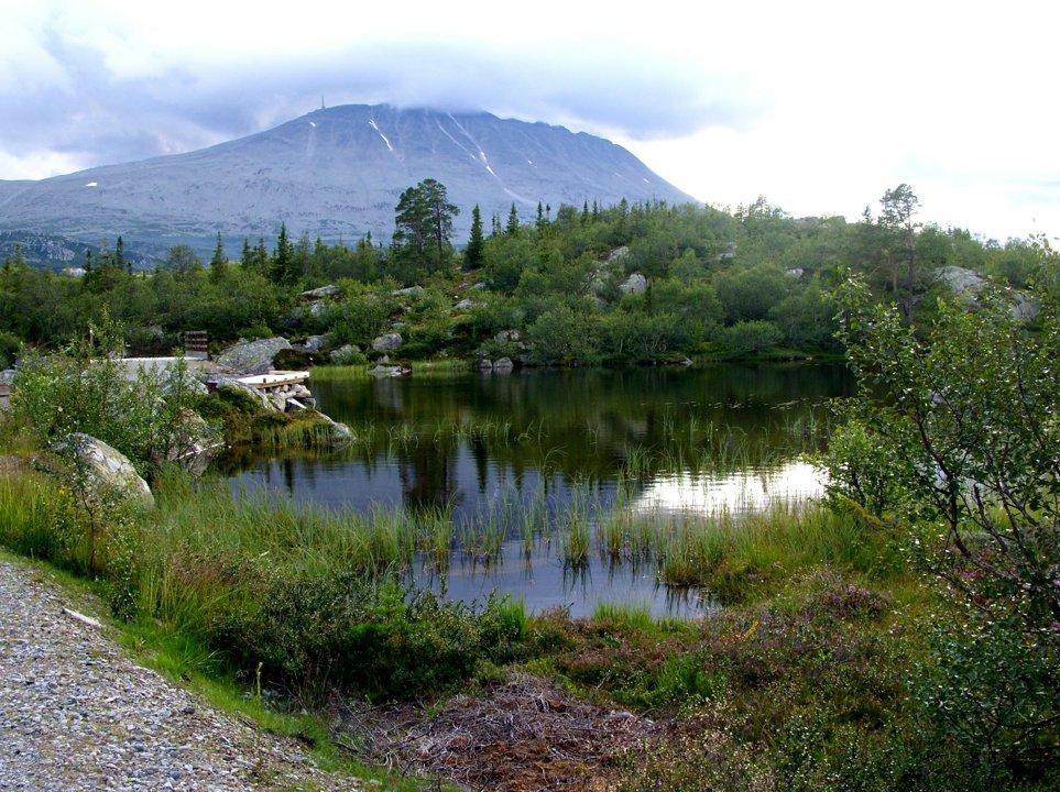 Finnmark Hunting Regions in Norway: A Hunter’s Paradise.