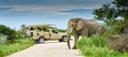 Namibia’s slaughtering wildlife for food consumption due to draught a solution or a way of cashing big from the rich lucrative hunting game? 83 elephants, 30 Hippos, etc.