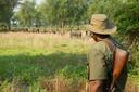 Hunting in GORONGOSA CONCESSIONS: A Unique Blend of Adventure, Conservation, and Tradition in Mozambique’s Ecologically Restored Wilderness
 
Gorongosa Hunting Concession