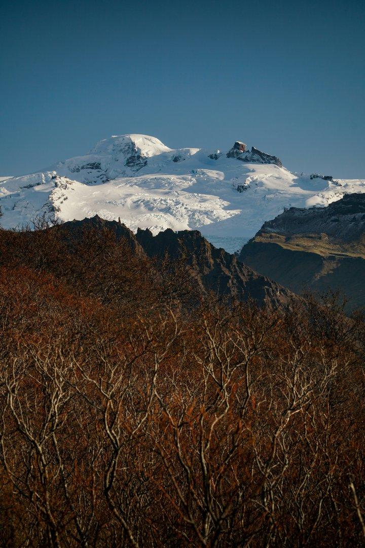 La Zona Austral de Chile es el último bastión para los cazadores aventureros: temporadas de caza, datos  poco conocidos y características de la caza en la región