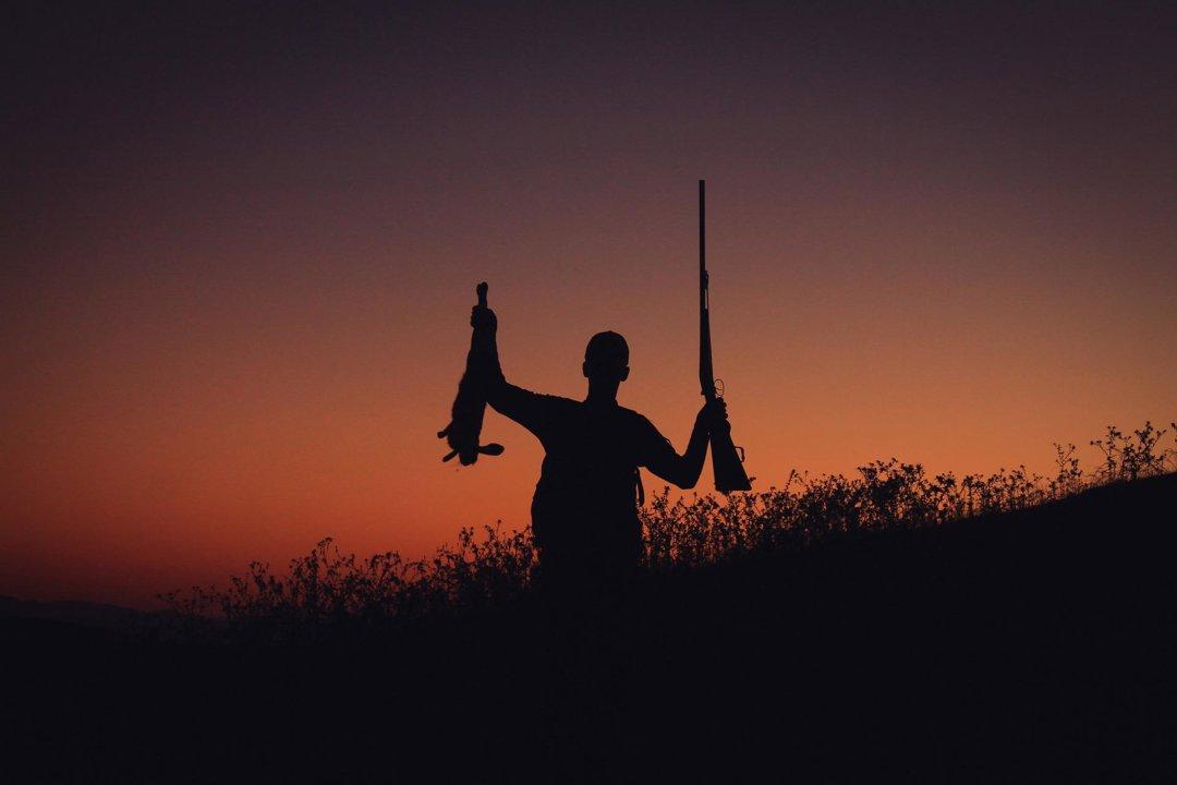 High Atlas Mouflon Hunting: Prestigious Hunting in the Peaks of Morocco.