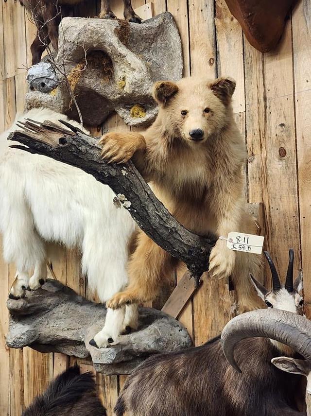 Photo from news post