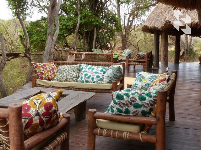 For true collectors 🌍 of African rarities: gerenuk, lesser kudu, Grant's gazelle, Thompson's gazelle, Patterson's eland and others ⤵️