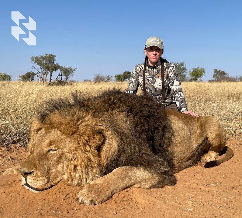 The lion's share of wild 🦁 lions live in Africa.