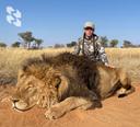 The lion's share of wild 🦁 lions live in Africa.
And a smaller 🤏 part in Asia.
Actually, that's all, just two continents.

Statistics say that in Africa, these beautifu