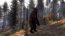 CABELAS BIG GAME HUNTER: PRO HUNTS

Один из хардкорнейших симуляторов охоты в нашем списке, рассчитанный на истинных ценителей виртуальной охоты на крупную дичь (хотя и м