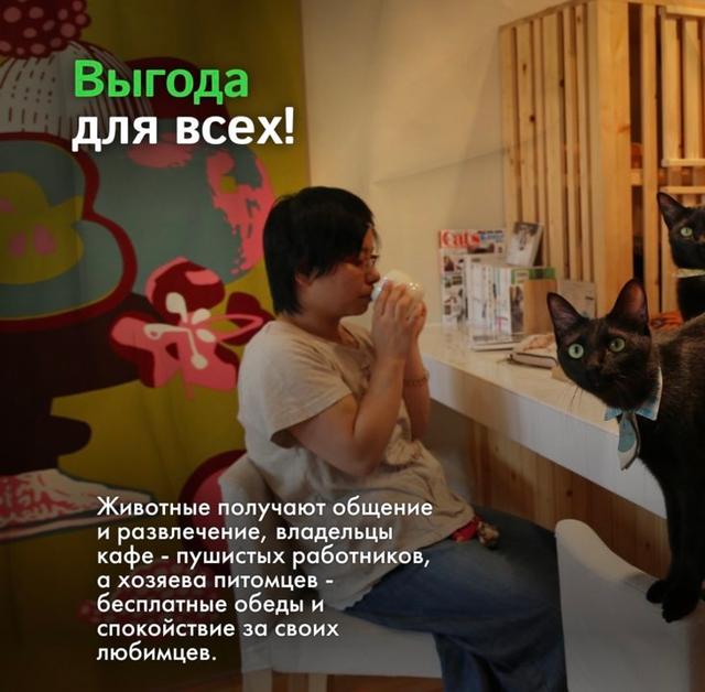 Photo from news post
