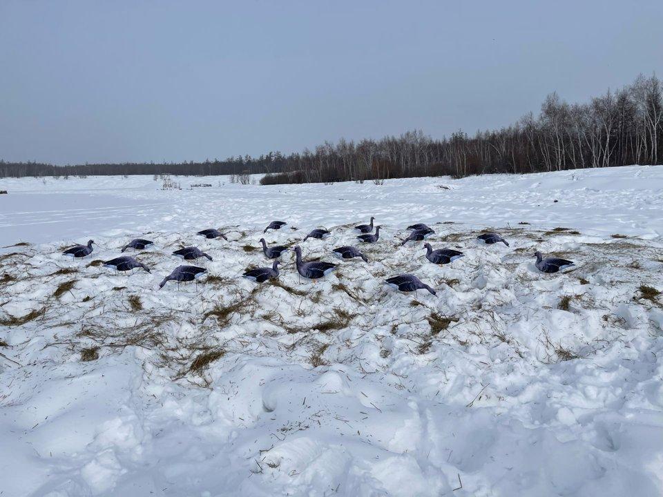Photo from news post