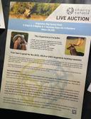 Argentina Big Game Hunting trip — $8000 value. 
Hunt is good for the 2023, 2024, or 2025 hunting seasons! 5-star lodging, guide, and amenities included. Will sell inclusive package for $2000. 
All proceeds have gone to charity for Empower Ranch in Phoenix, AZ. 
You can hunt for your choice of Red Stag, Water Buffalo, Blackbuck, and more! 