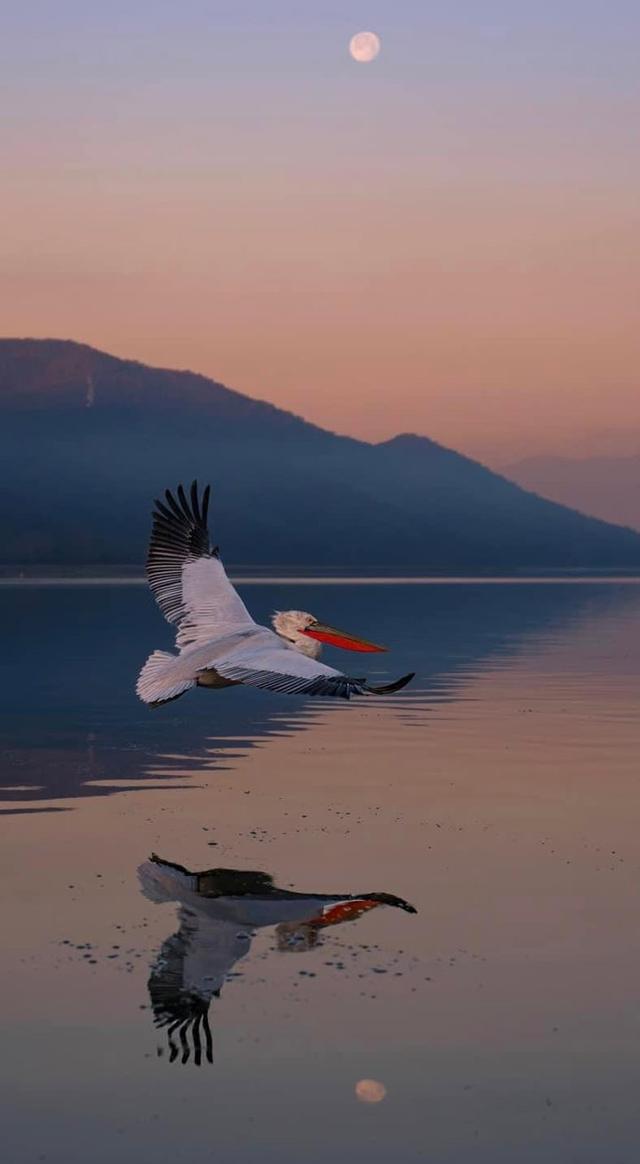 Photo from news post
