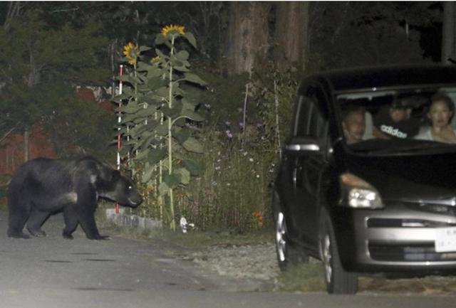 Photo from news post