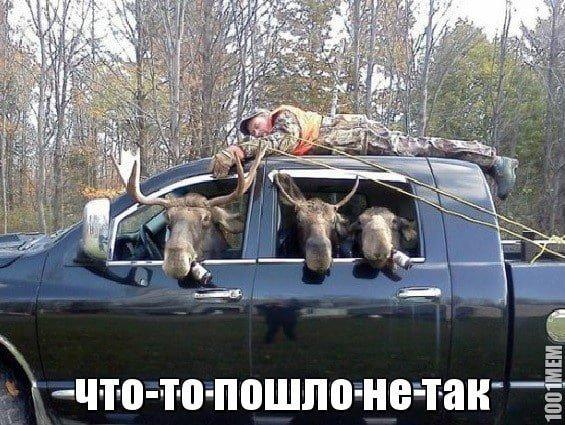 Photo from news post