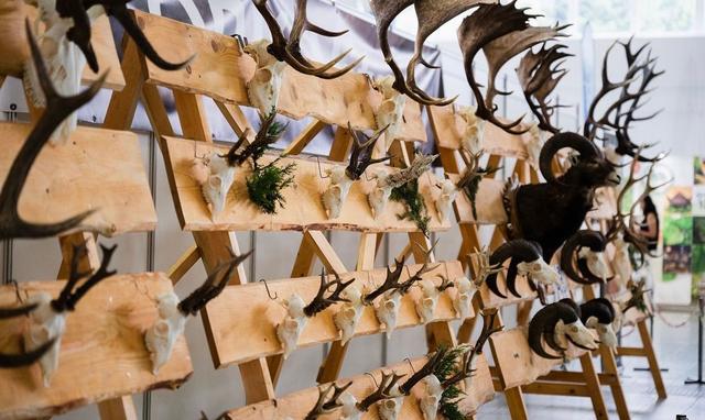 Hunting, Forestry and Fishing 2025: Agrokomplex Exhibition Grounds, Nitra, Slovakia