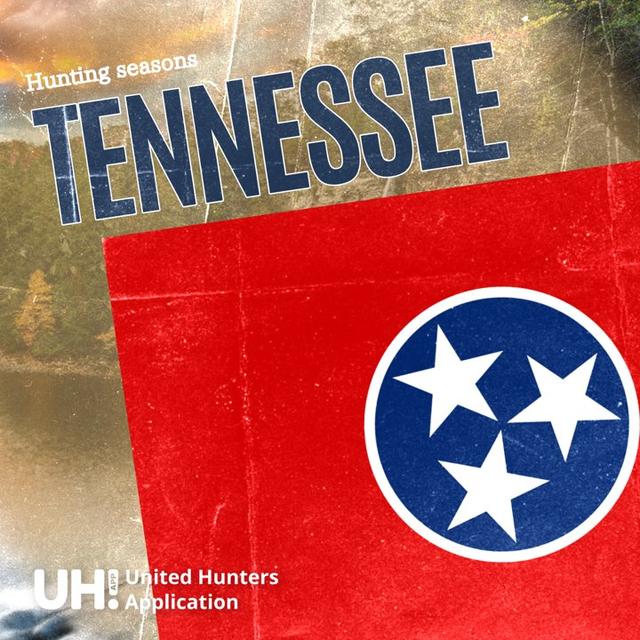 HUNTING SEASONS IN TENNESSEE 2025–26: Deer Hunting, Big Game and Small Game, Licenses, and Regulations Guide