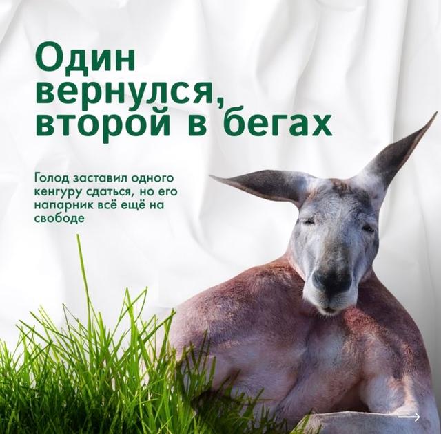Photo from news post