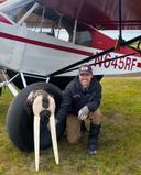 What an amazing discovery!!🤩

This pilot was flying around a remote area of Alaska and noticed a Walrus skull! He caught glimpse of the solid ivory tusks and had to get 