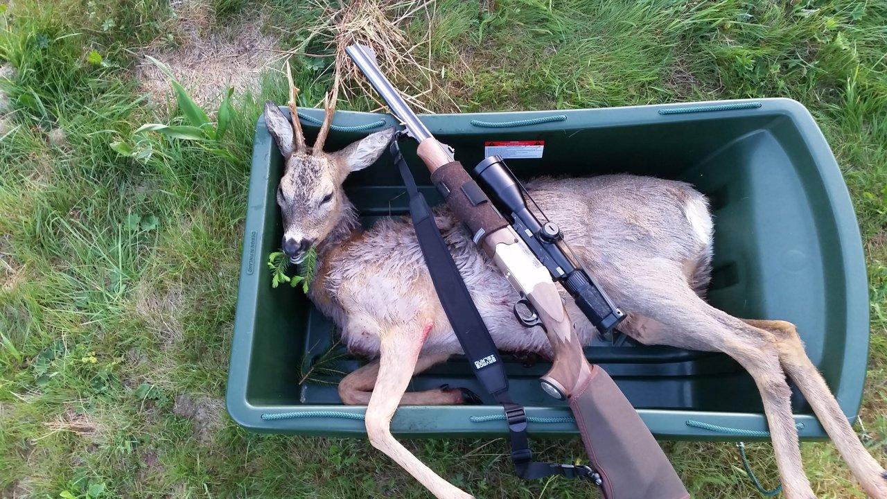 Jagd im Bezirk Schwende (Kanton Appenzell Innerrhoden), Schweiz: Eigenschaften, Bevölkerung, Jagdtechniken, Wildtiere, Jagdperioden, Wildarten, Jagdsaisons, Verbände, Vorschriften und Traditionen