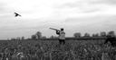 Where can I hunt pheasants in Minnesota?

Public lands around Pipestone, Marshall, and Montevideo are all great places to start. Winter, Woodstock, and Altona WMAs are po