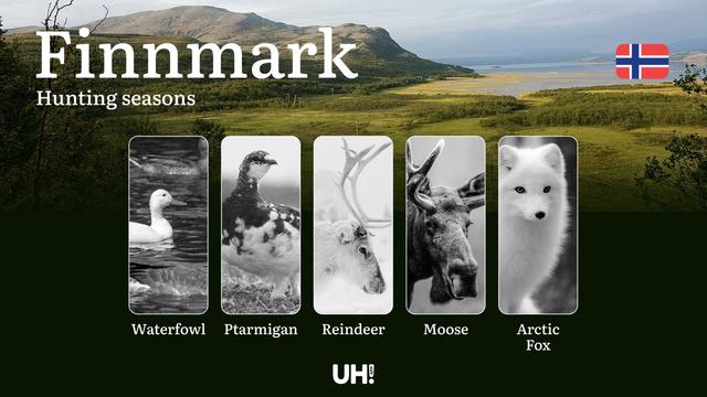 Hunting Periods and Local Rules in Finnmark: Species You Can Hunt Throughout the Year, Seasonal Activity of <strong>Game</strong>, and the Steps to Get a Legal Hunting License in the Region