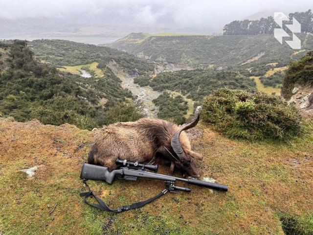 Photo from news post