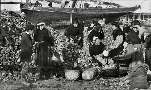 Oyster hunting and sorting in 19th-century France was an essential maritime and culinary practice that reflected both the country’s deep gastronomic traditions and the evolving dynamics of coastal economies.