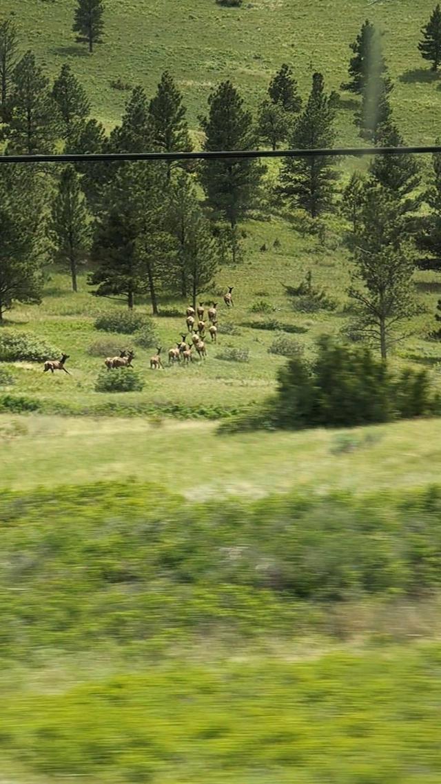 Photo from news post