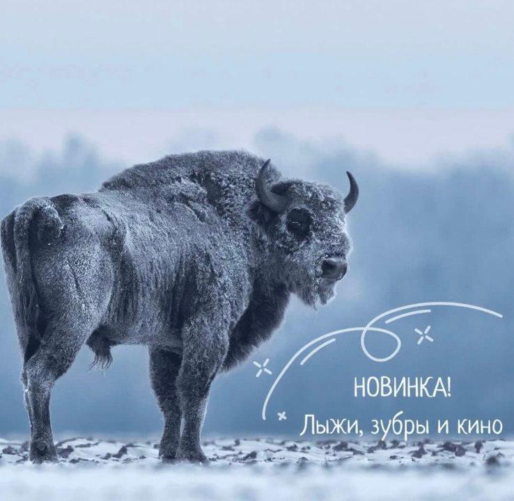 Photo from news post