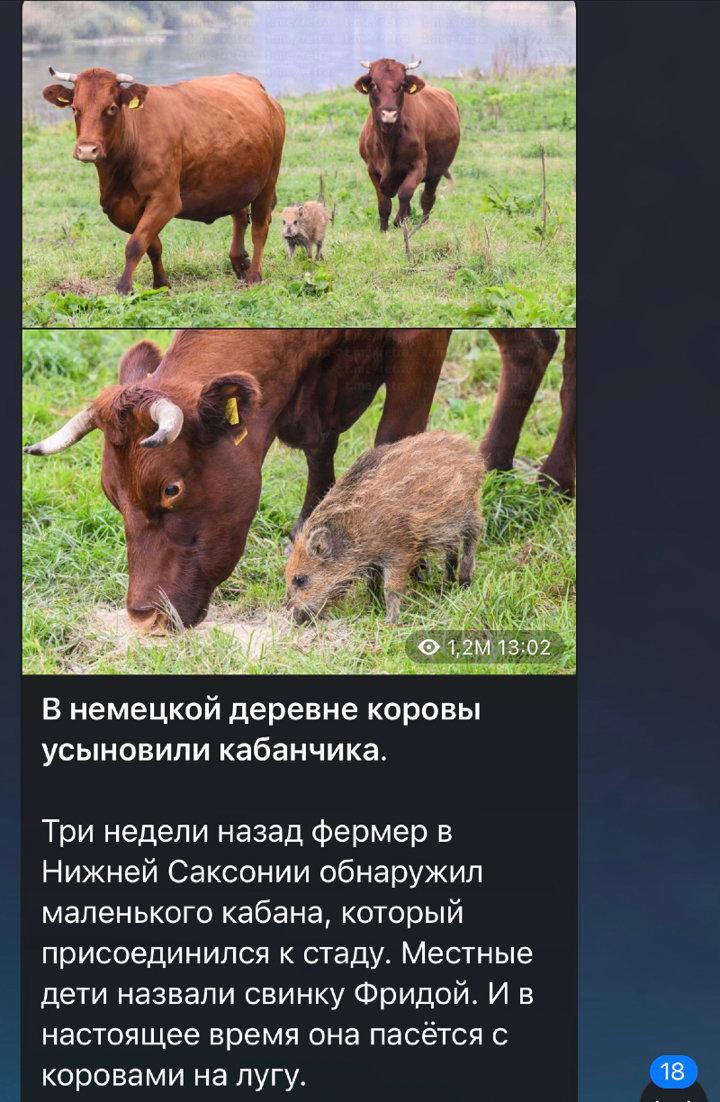 Photo from news post