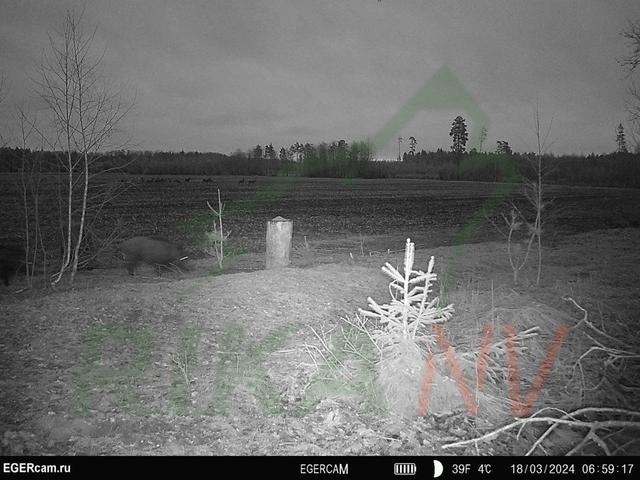 Photo from news post