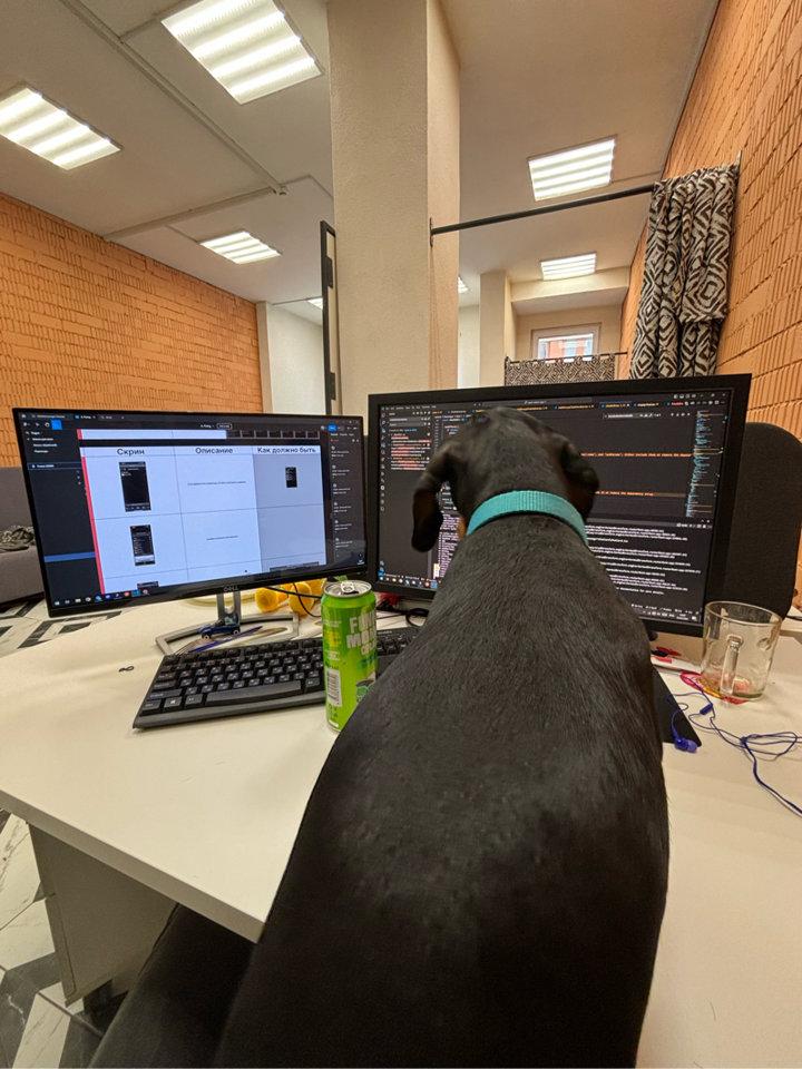 Photo from news post
