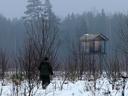 Утверждены лимиты и квоты добычи охотничьих ресурсов Магаданской области

Министр природных ресурсов и экологии региона Евгений Кречетов пояснил, что к охотничьим ресурса