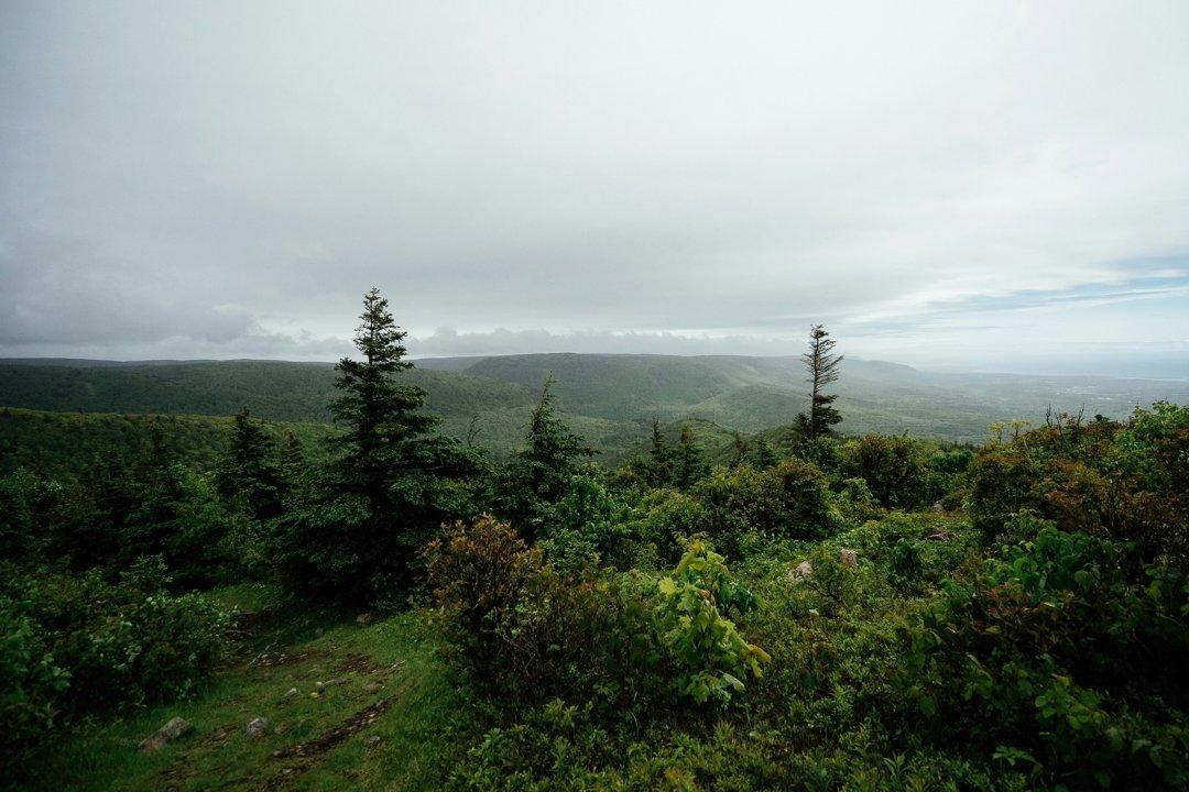 Photo from news post