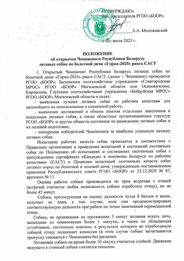 Чемпионат «Горка-2025»: главное событие для легавых собак и их владельцев в Беларуси