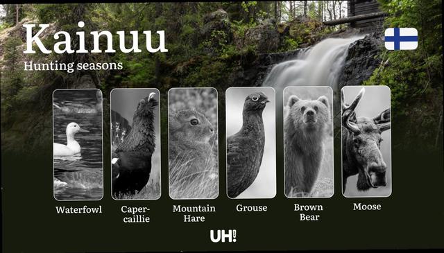 Hunting Seasons in KAINUU: Official Opening/Closing Dates, Required Permits, Key Regulations and Practical Recommendations