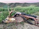 Jagd im Raum Wolfsberg: Zeiträume, Rahmenbedingungen, 
Details, Tierbestand und Jagdmöglichkeiten, Merkmale, Besonderheiten, Bevölkerung, Verbände, Bräuche

Zeiträume für