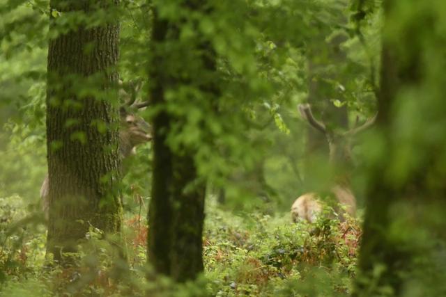 Photo from news post