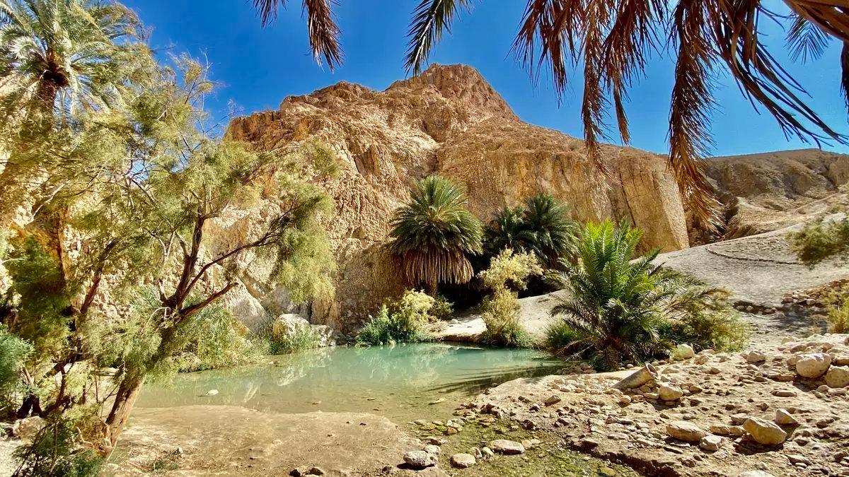 Desert Pursuits in KEBILI: Know more about Local Laws and Legislation, Game Speceies and Hunting Communities